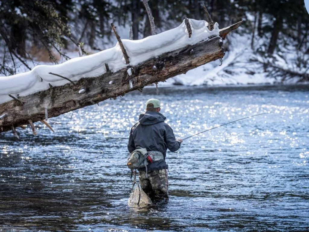 Southwest Montana Fishing Report 2.13.26