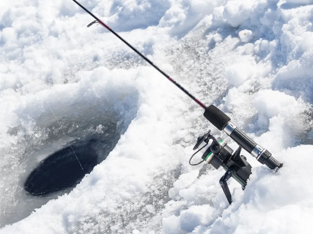 Man Arrested After Deadly Argument at Fish Camp