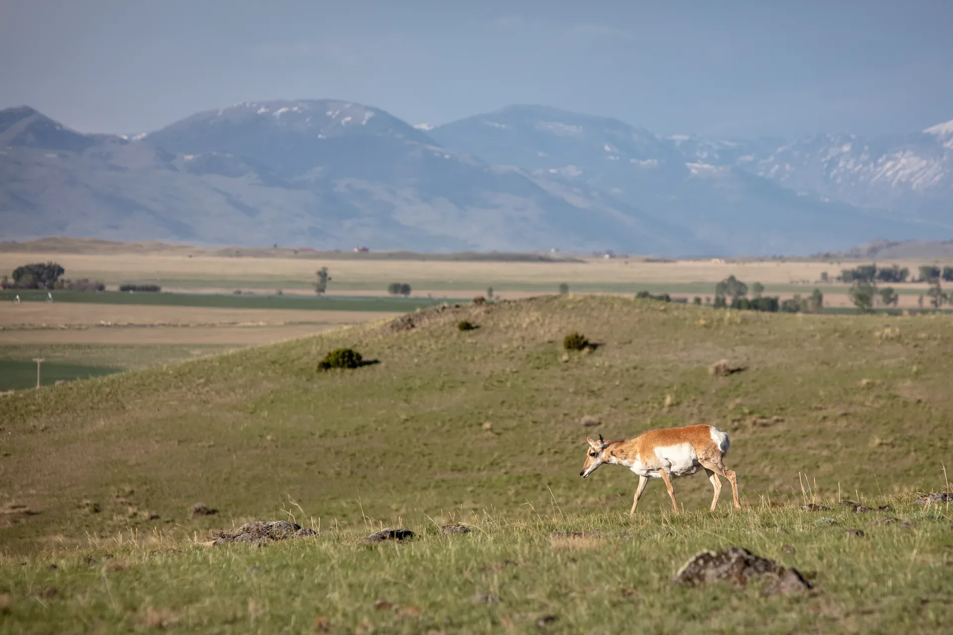 GVLT Reaches Milestone of 75,000 Acres Conserved in Southwest Montana