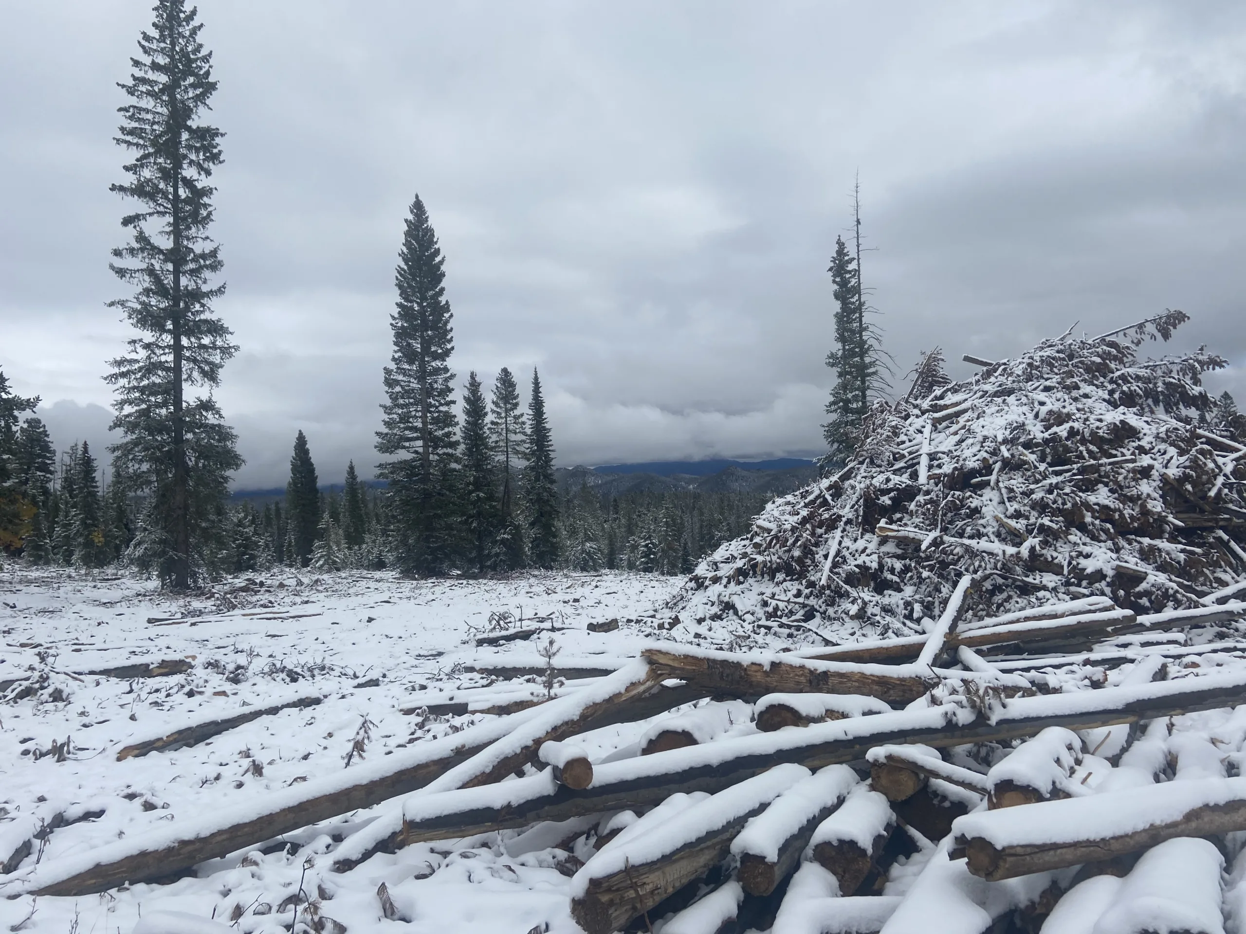 Flathead National Forest Begins Prescribed Fires