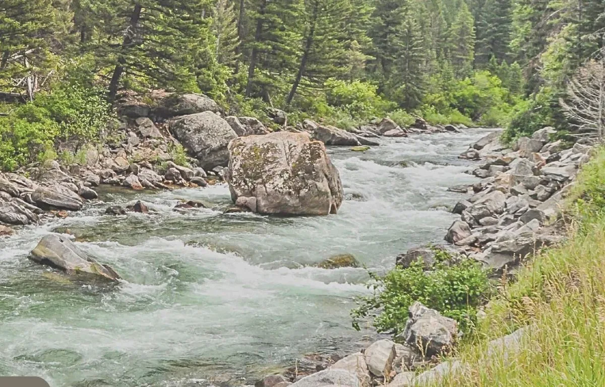 Best Nymph Rigs for Successful Gallatin Fishing