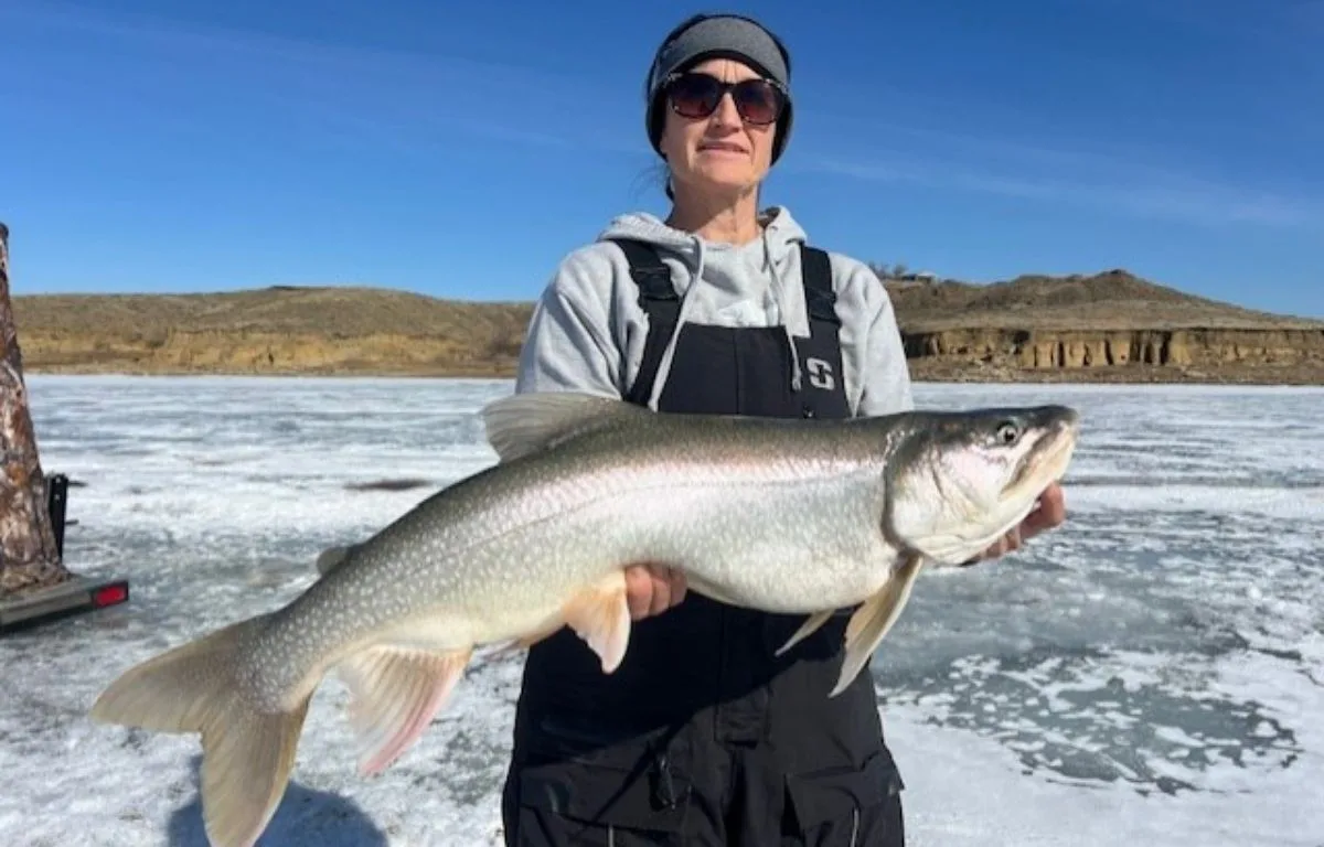 Fort Peck Ice Fishing Report (March 6, 2026): Rock Creek Lakers in 65–80 Feet as Warm Front Threatens Safe Ice