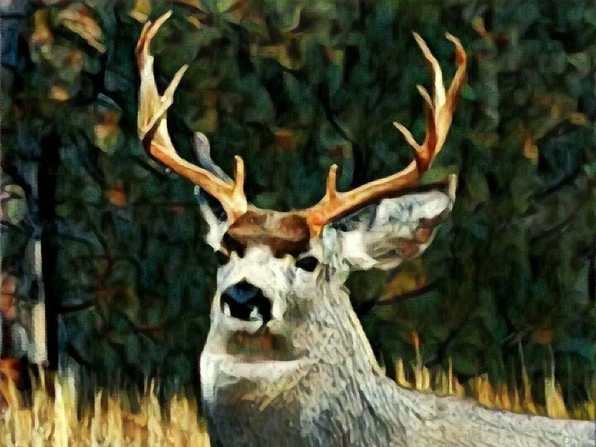 Disease, development, warming climate threaten mule deer, according to Wyoming study