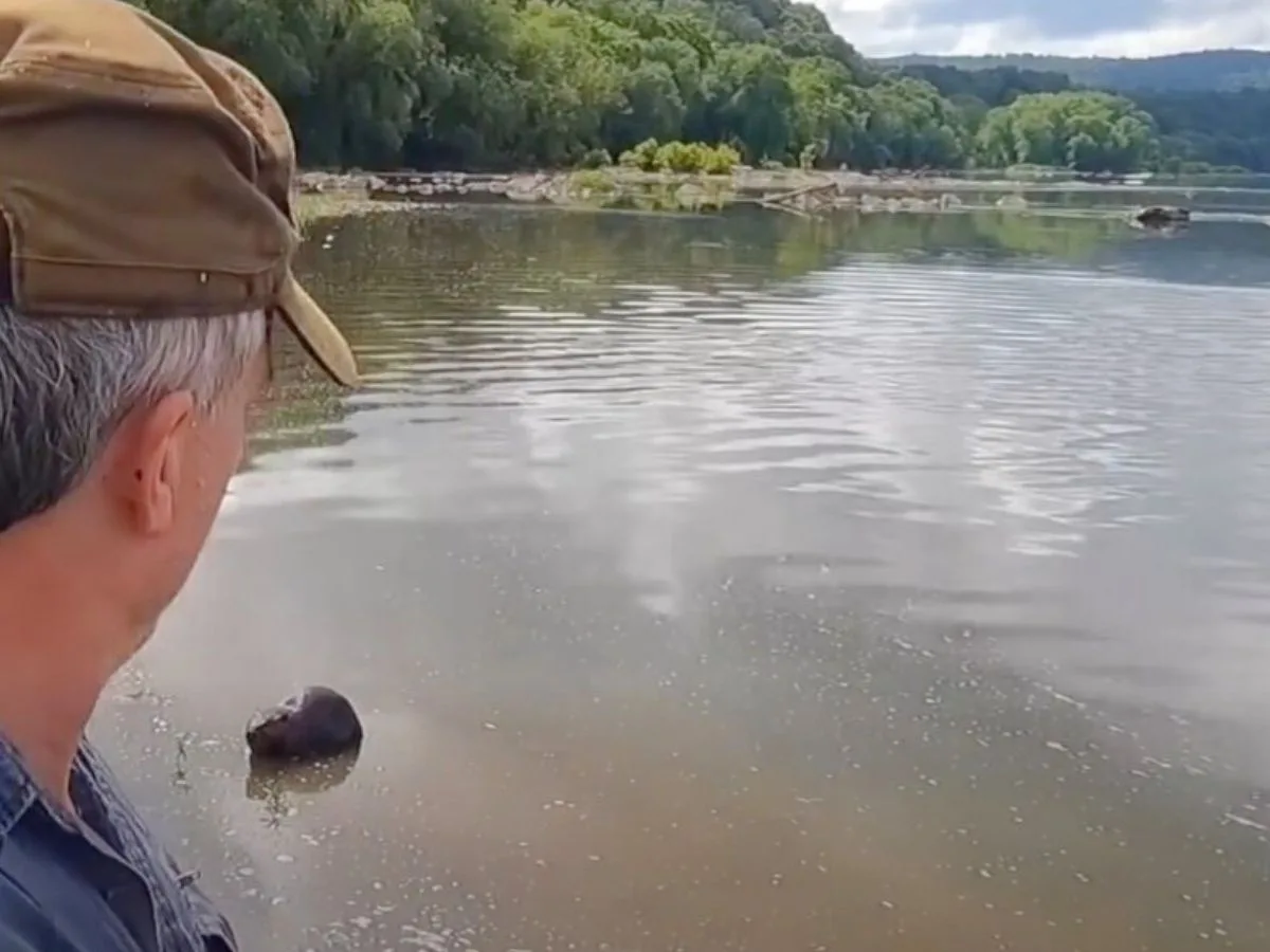 When Wildlife Interrupts Fishing Adventures