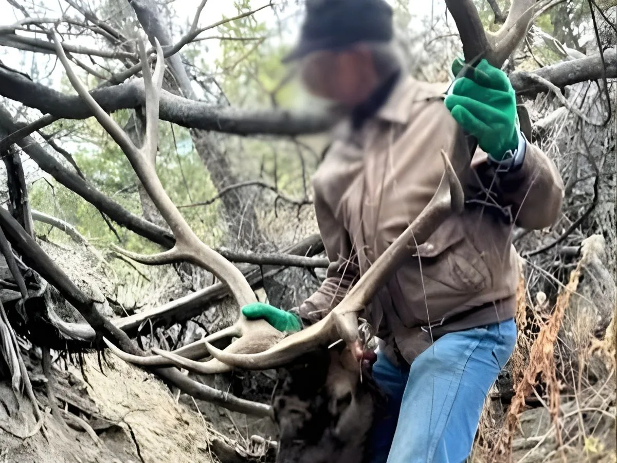 Helicoptering Into Landlocked Public Land in Wyoming for Elk Sparks Viral Rancher Confrontation—and a Theft Charge
