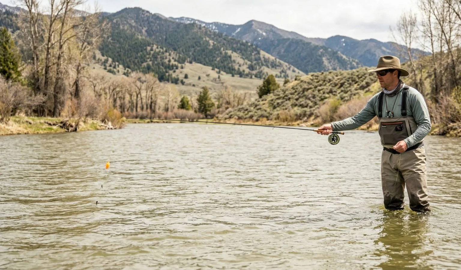 Gallatin River Fishing Report: Conditions & Hatches