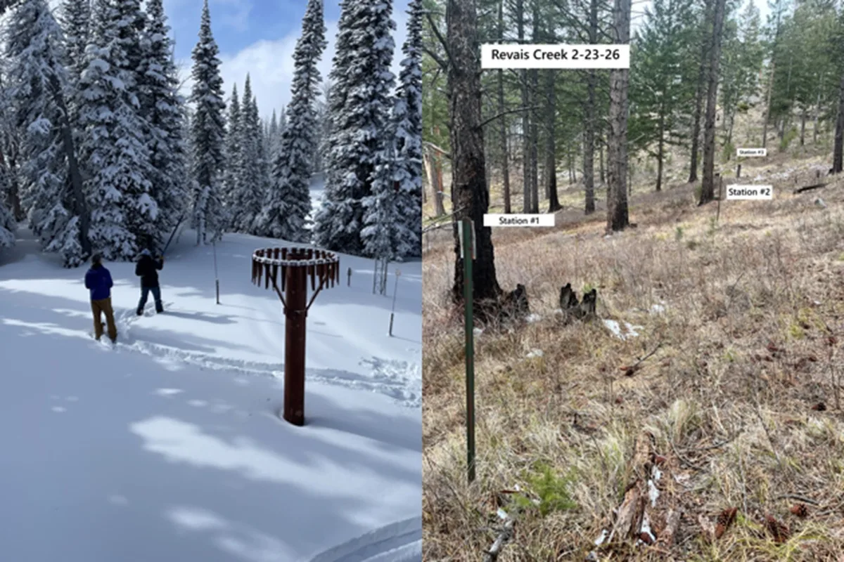 Montana Snowpack Slips to 60–95% of Median by March 1 as Warm Winter Persists (NRCS)