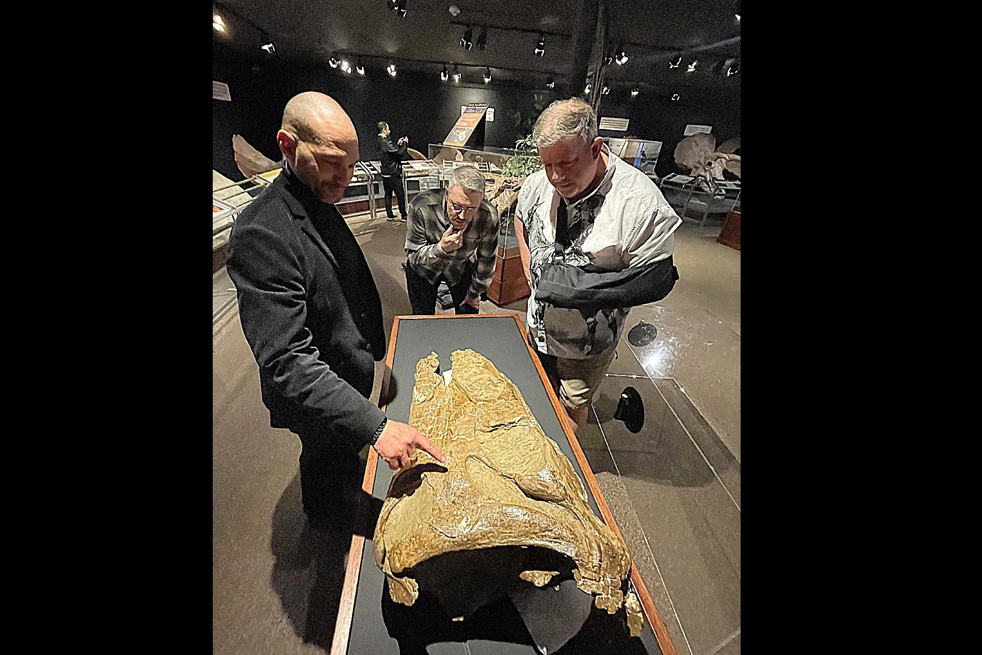 Snapped enamel and crushed bone:A Moment Frozen in Montana’s Time