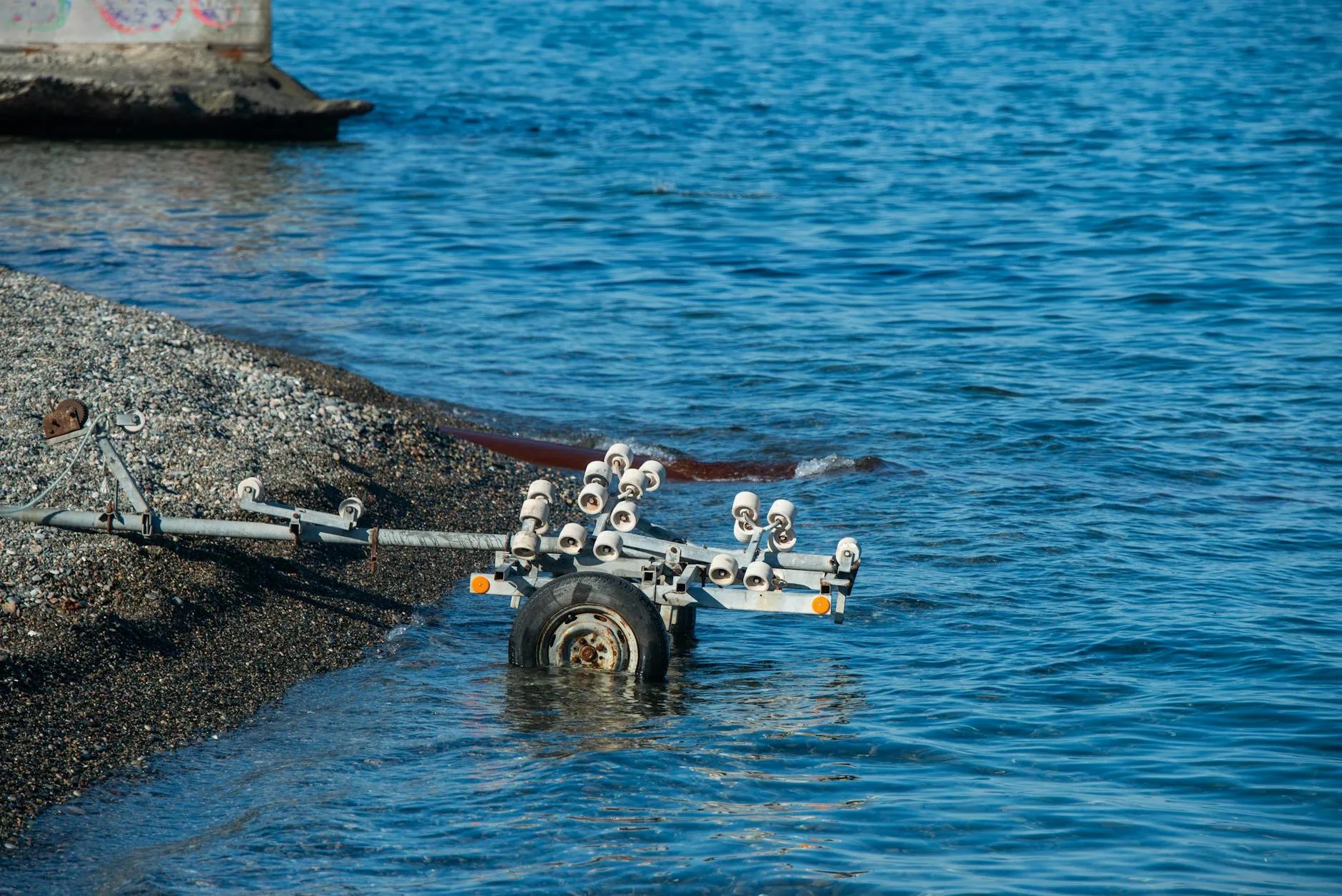Zebra Mussels 2026: Which Montana Waters Are at Risk and What Every Angler Needs to Know Before Launch Day
