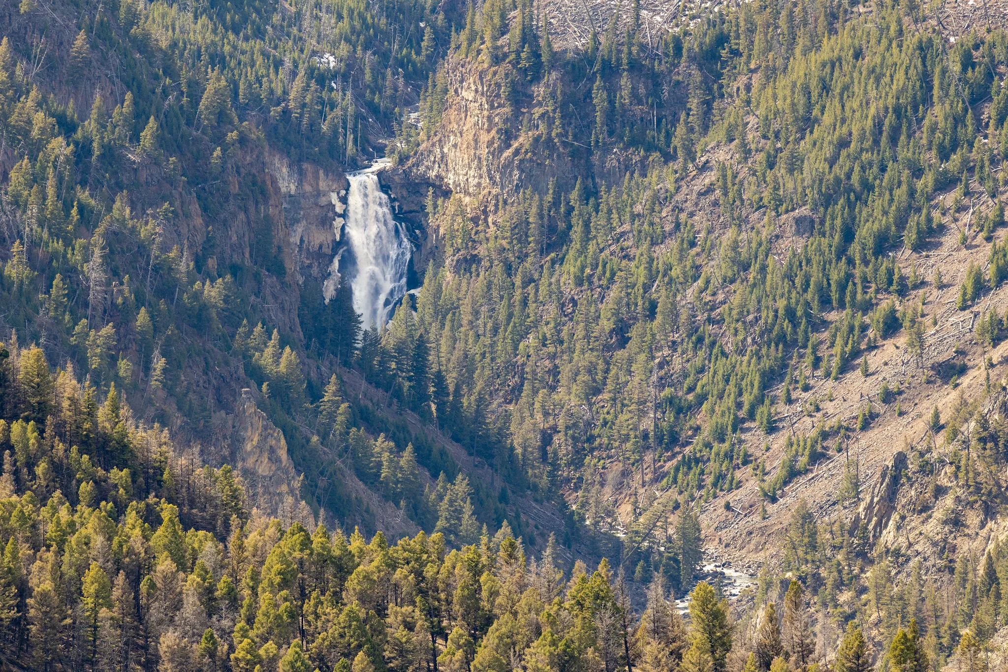 Select Yellowstone National Park entrances and roads open to public April 17