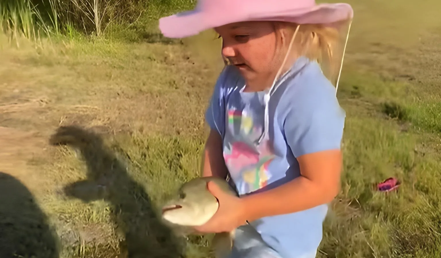 Watch This Funny Fish Mishap: A Must-See Video!