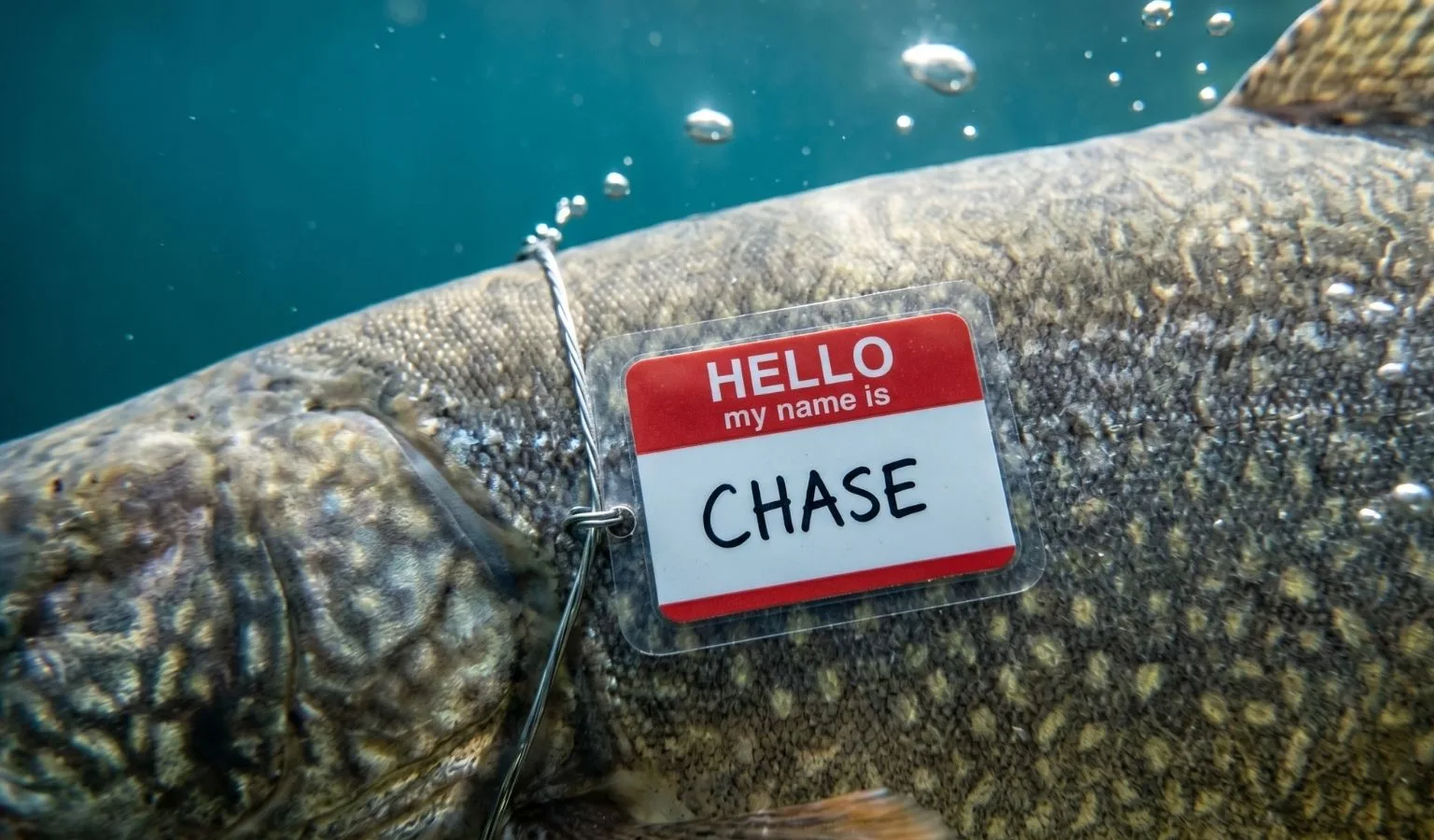 2026 Spring Mack Days Mid-Event Update for Week 5