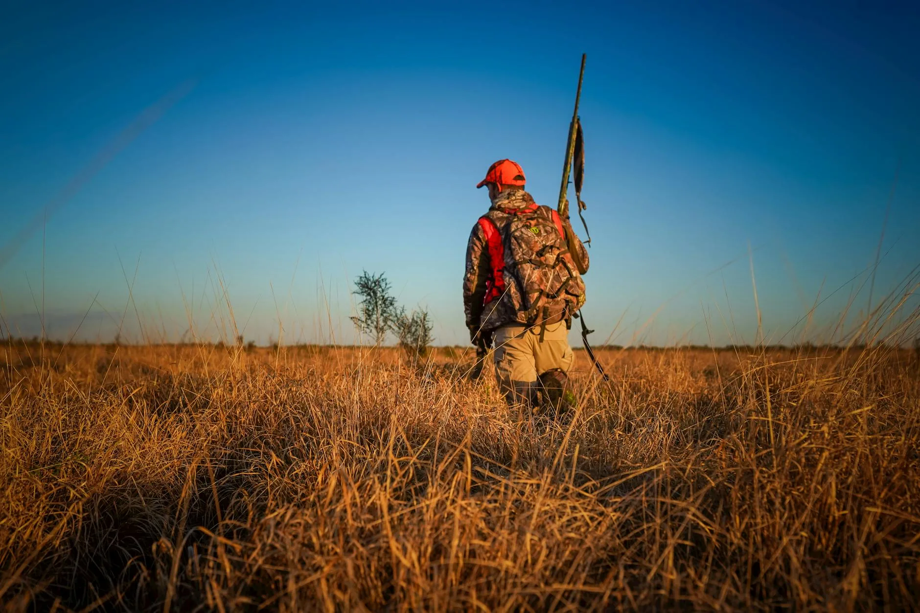 Montana Draw Results Dates 2026: Exactly When FWP Posts Every Species (And What to Do Next)