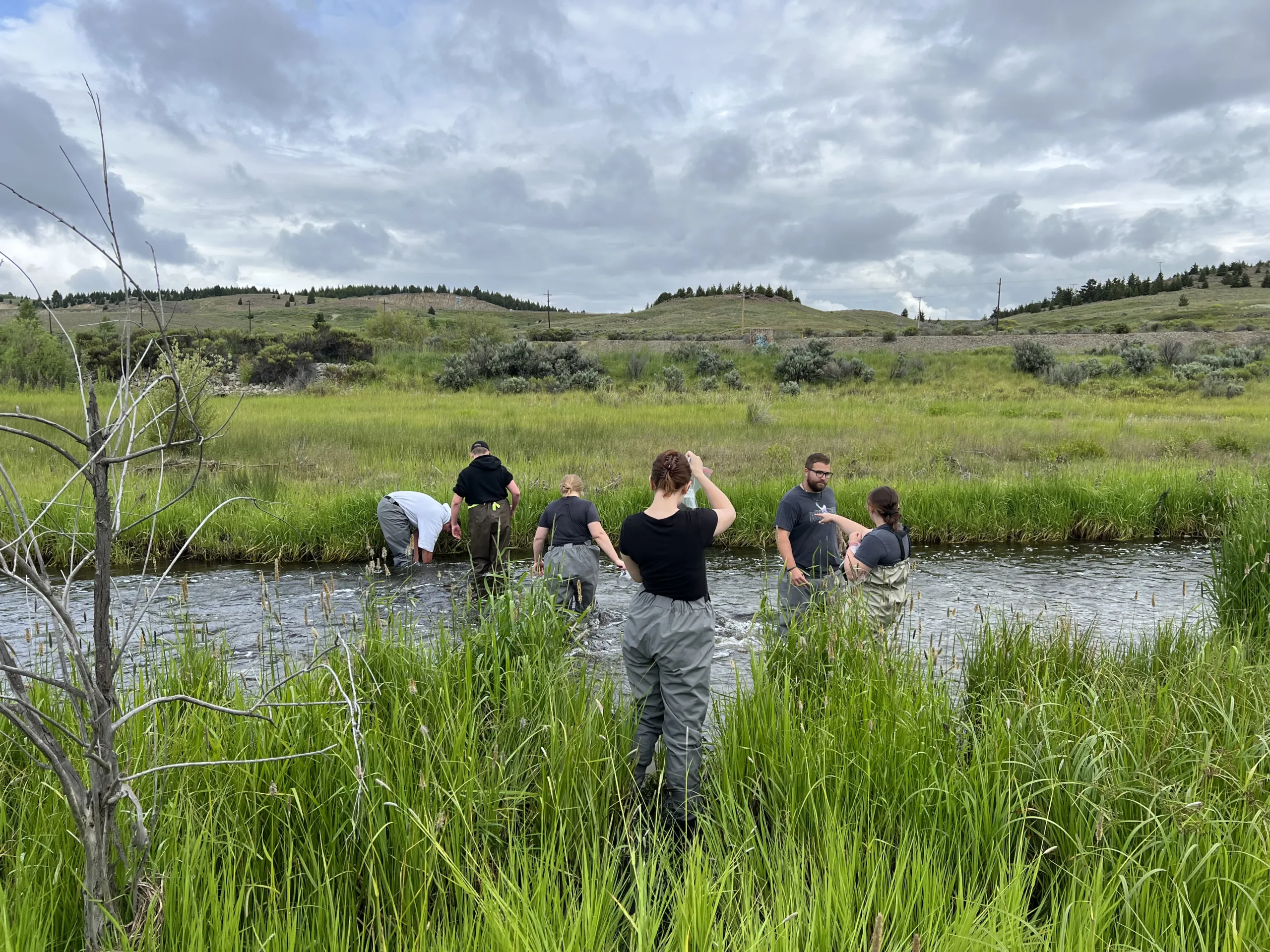 Ripple seeks volunteers for spring watershed science field trips