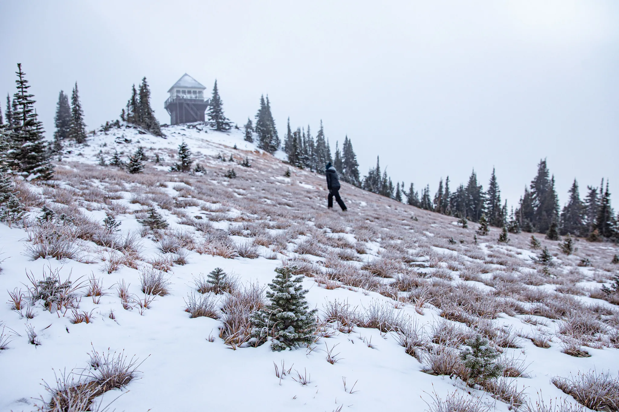 Search Underway in Glacier National Park for missing hiker