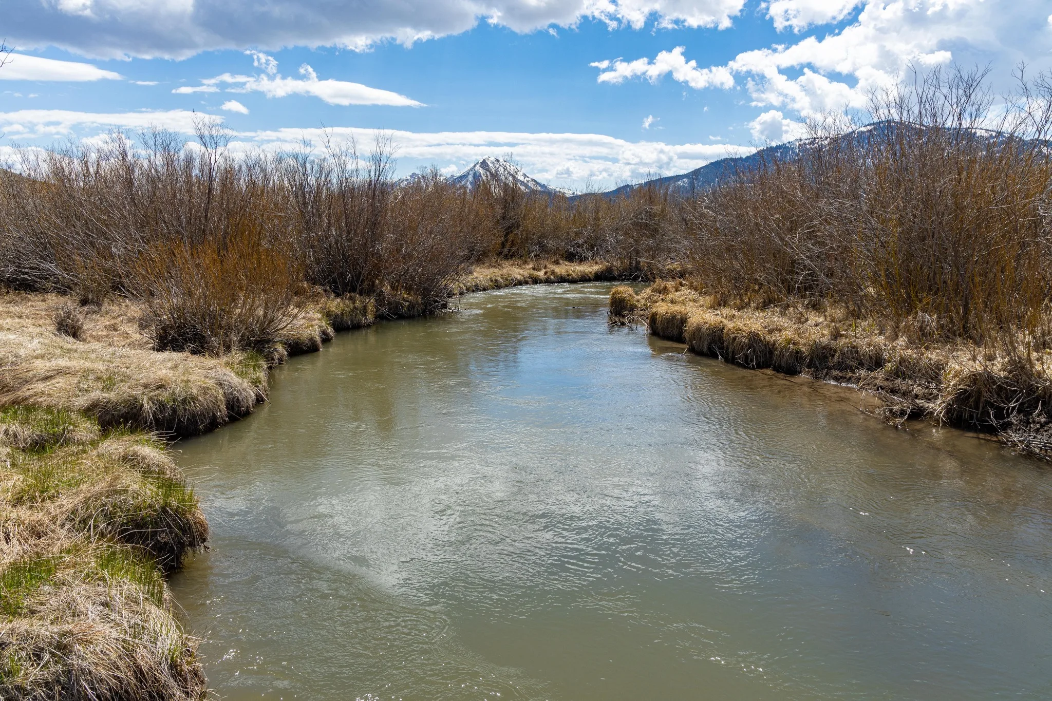 Calling All Habitat Heroes: Montana FWP Just Dropped a $1.8 Million Eco-Budget