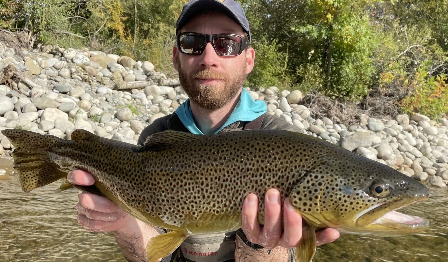 Stillwater River bank armoring has reduced fish habitat