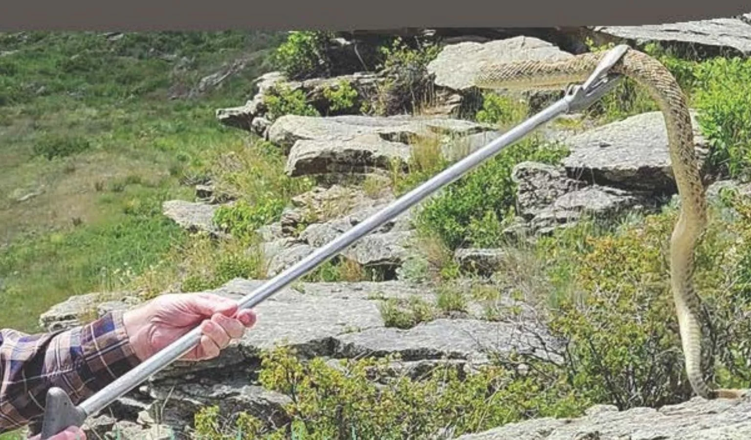 Love ’Em or Loathe ’Em, They’re Here: Face Your Fears at First People’s Buffalo Jump