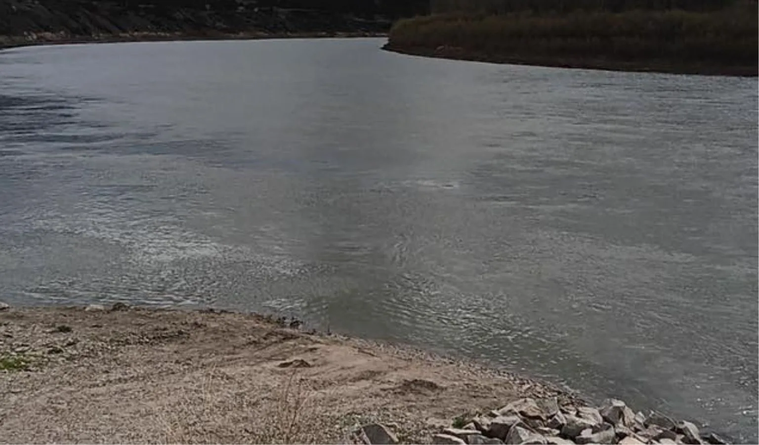 2026 Paddlefish Update II, May 6, 2026