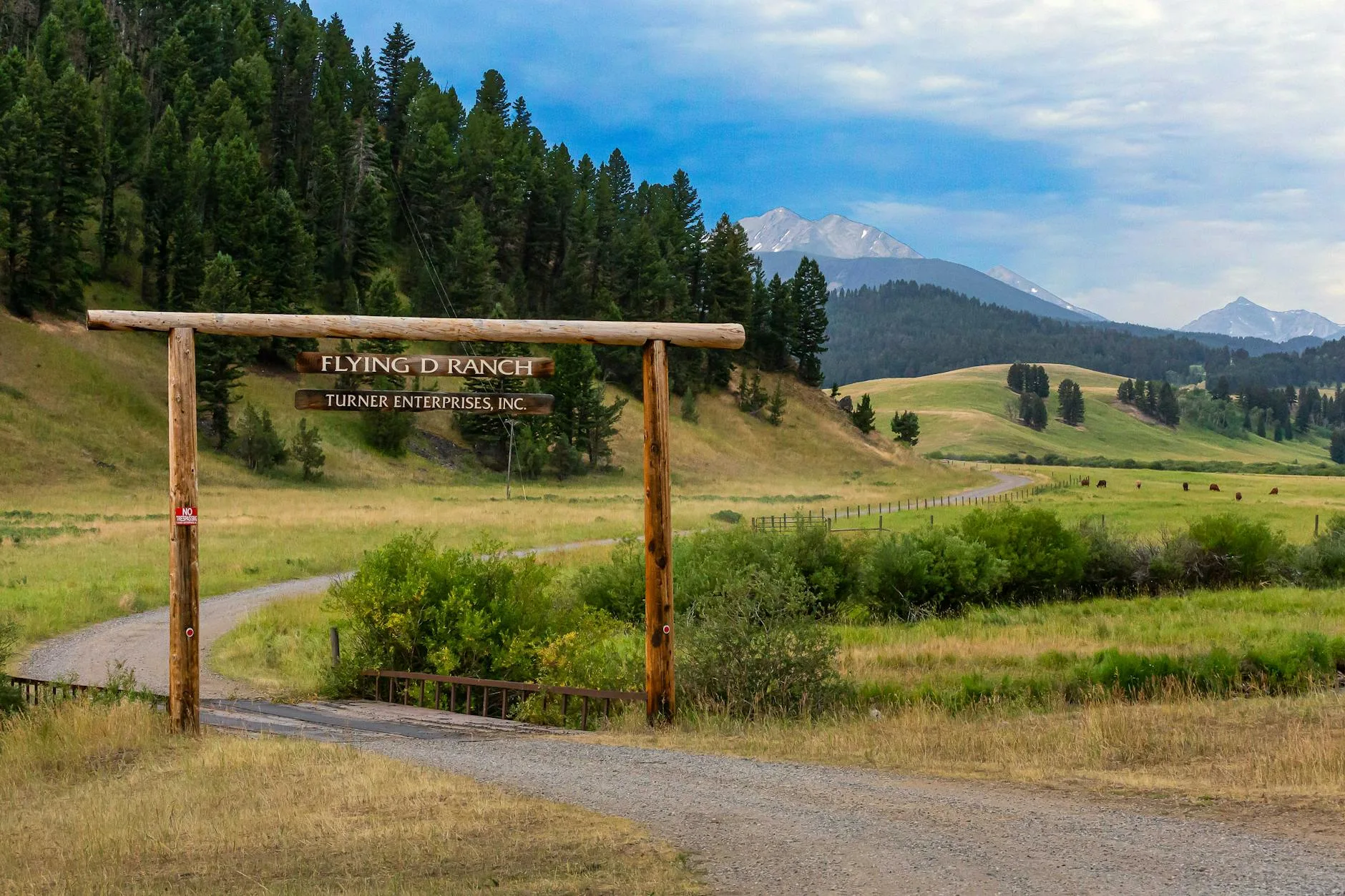 Justice Department Targets Big Four Meatpackers as Montana Ranchers Demand Fair Prices