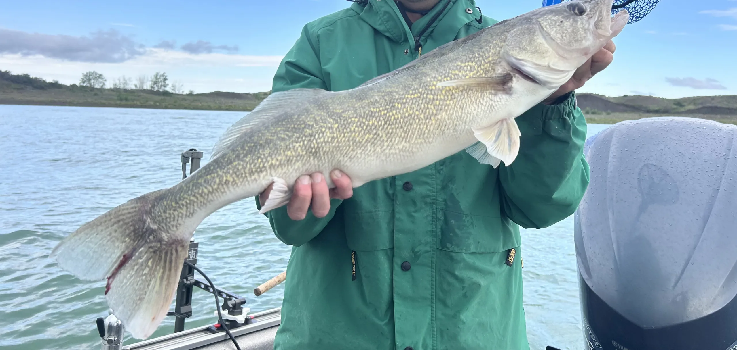 45 Pounds Leads Day 1 at Canyon Ferry Walleye Festival