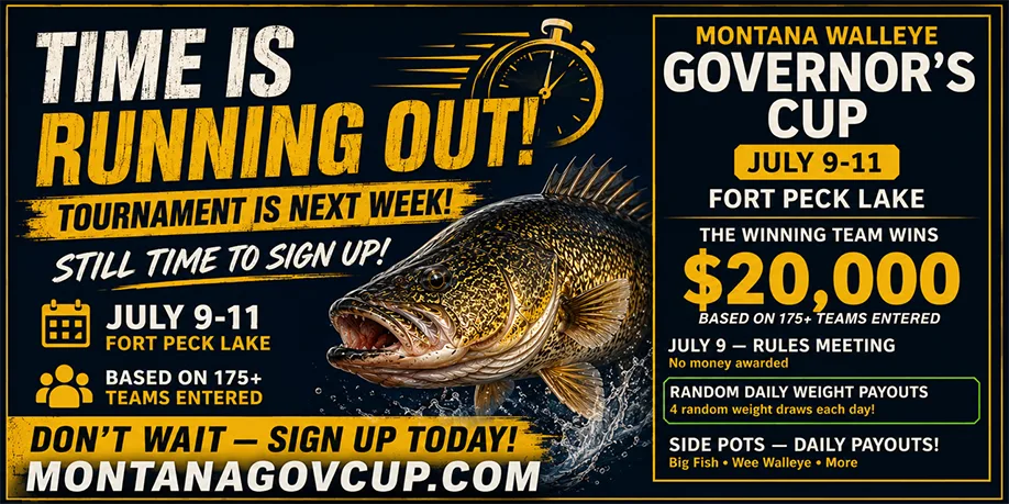 Montana Gov Cup