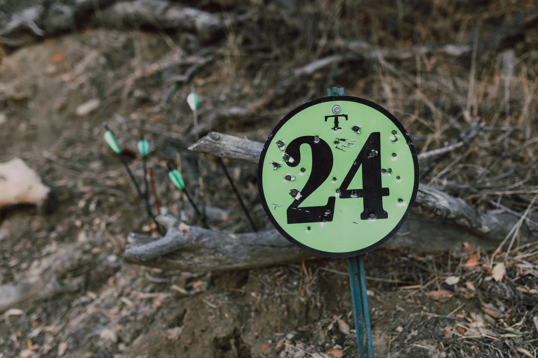 You Drew a Montana Archery Elk Tag: Build Your Scouting Plan Now