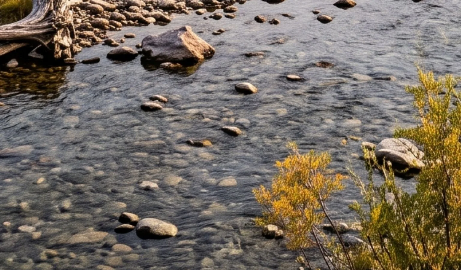 Additional fishing restrictions begin July 22 on several Montana rivers