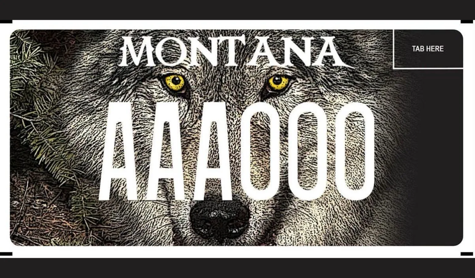 Move Over, Boring Standard Plates: Montana Just Got a Serious Upgrade