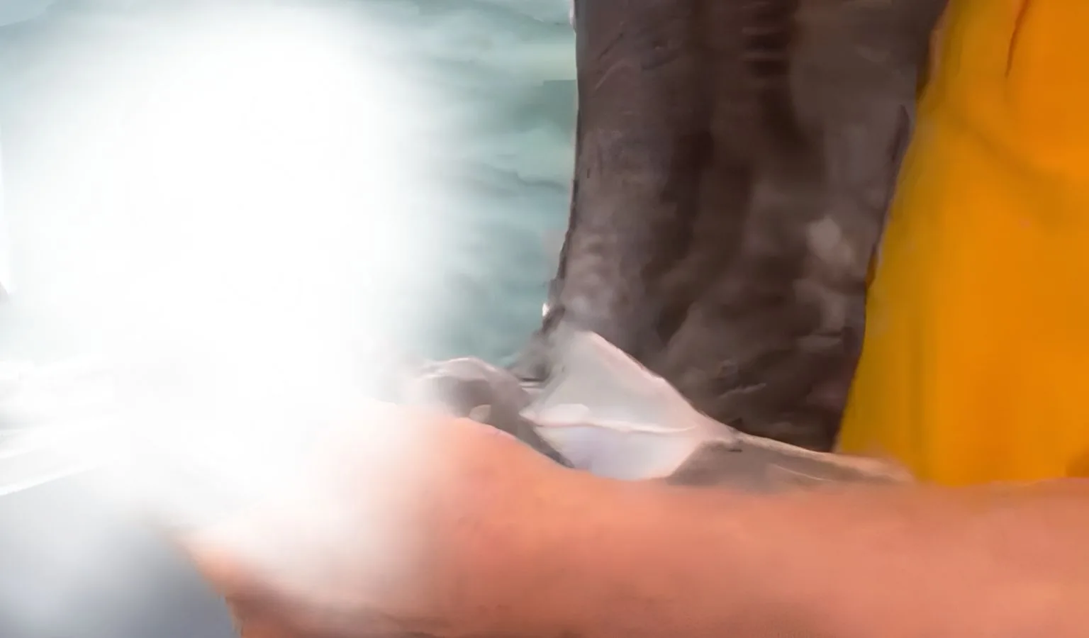 Sky Salmon: The Dream Team’s Accidental Catch
