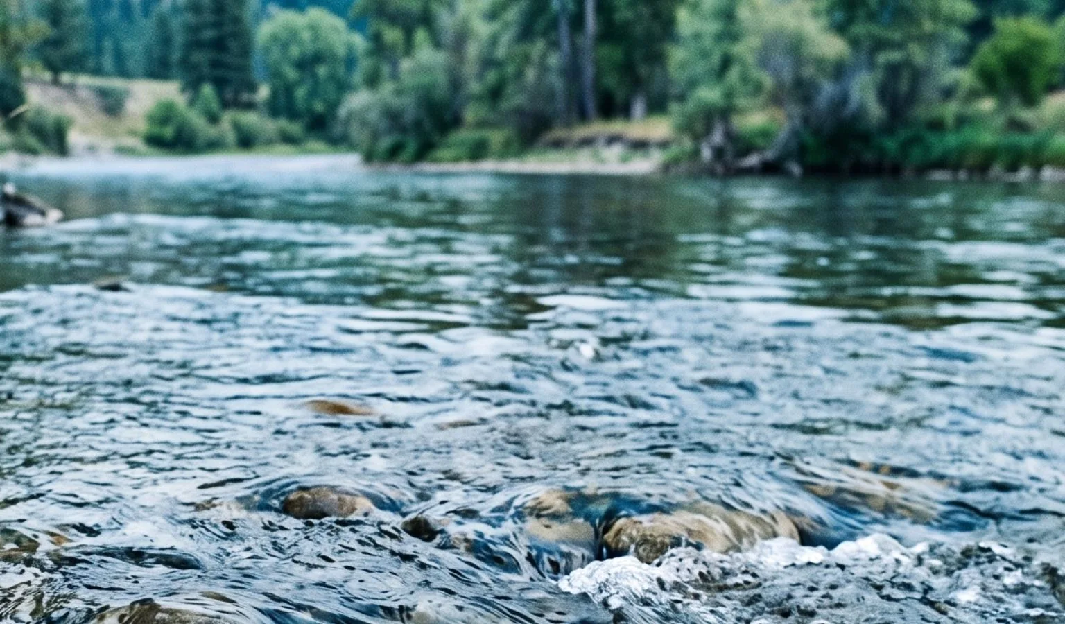 No-Go Zone: Flathead River Under Construction