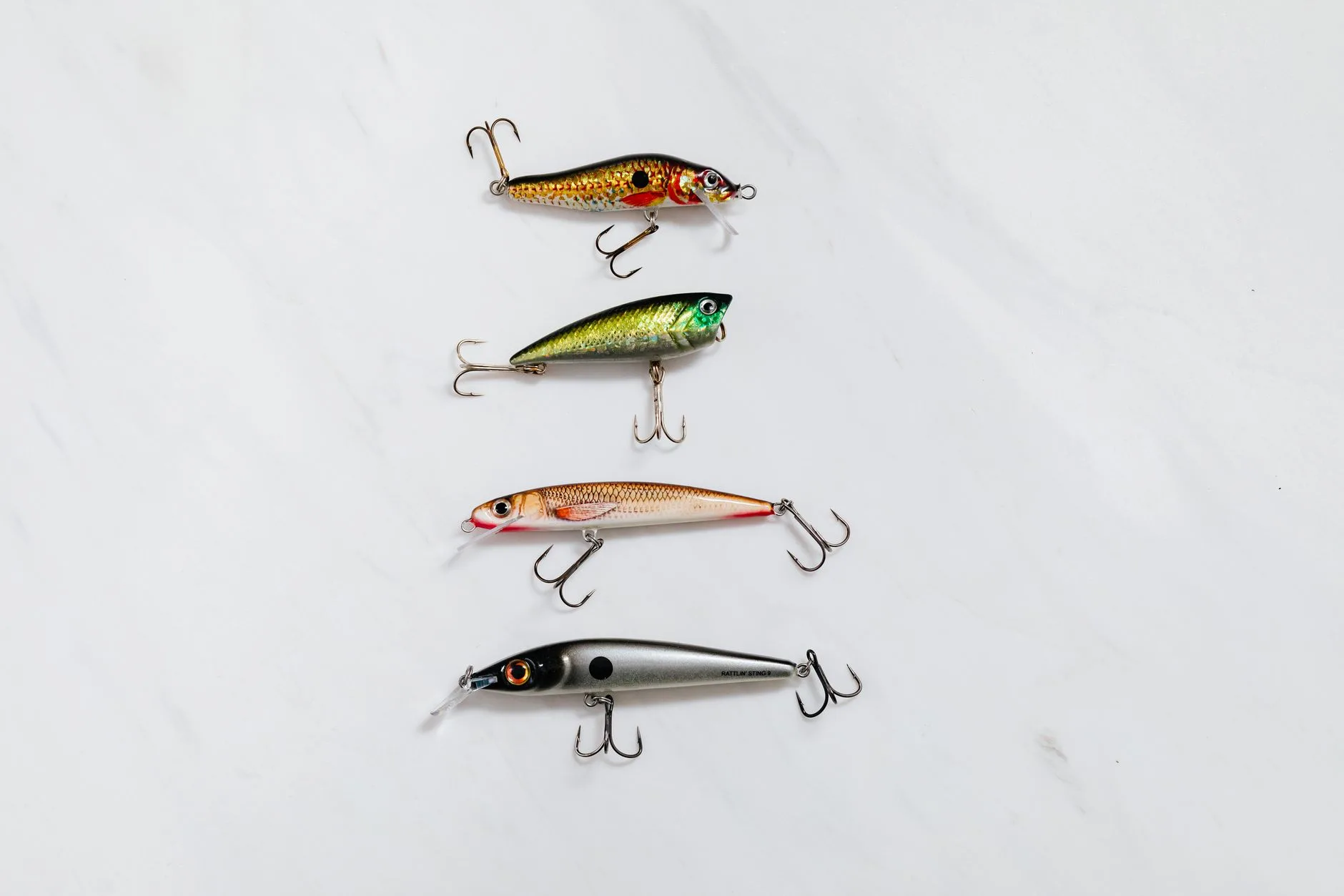 Canyon Ferry Delivers Giants: Walleye and Rainbow Trout on the Same Rod