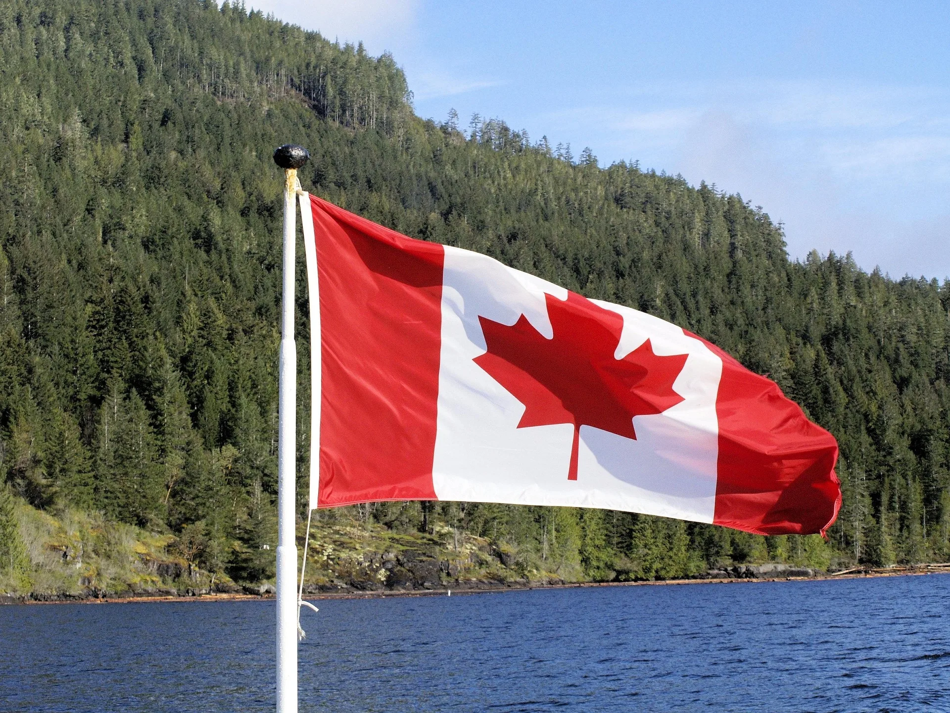 Bear killed after fatal attack on 2 people in Canada