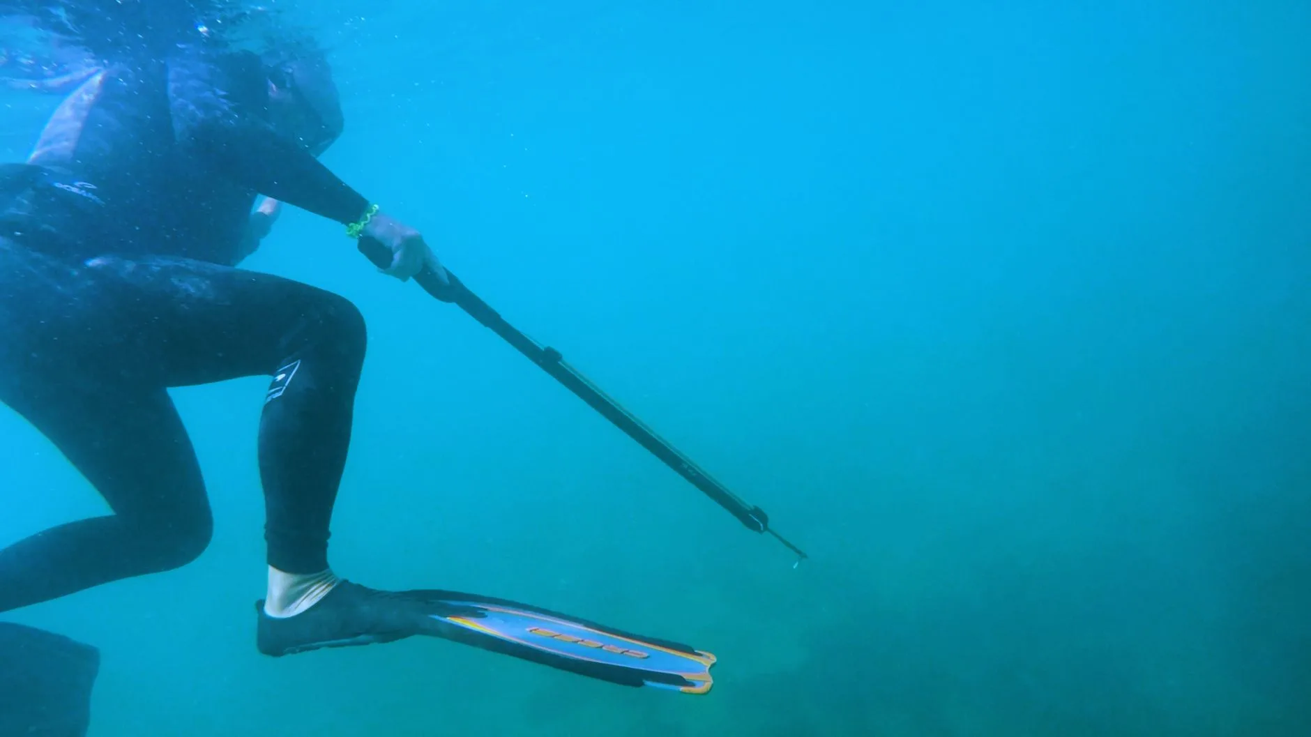 Spearfishing for Northern Pike in Northwest Montana’s Low-Visibility Waters