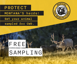 FWP FREE SAMPLING