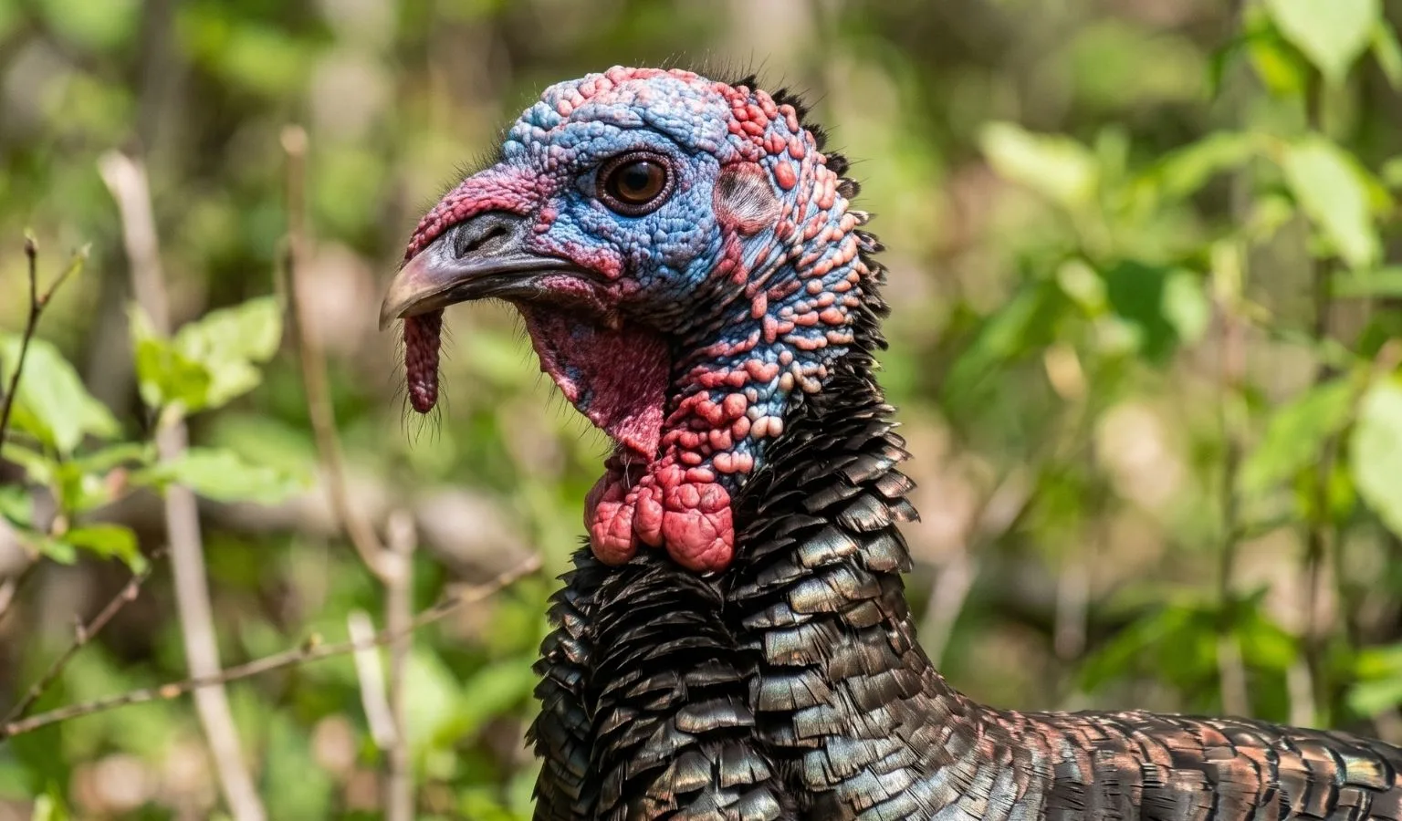 Why Just Knowing How to Shoot Does Not Always Make You a Safe Hunter