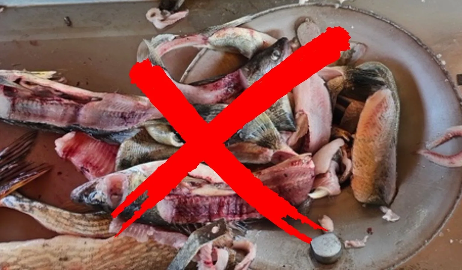 PSA: Help Keep Fort Peck Marina’s Fish Cleaning Station Open