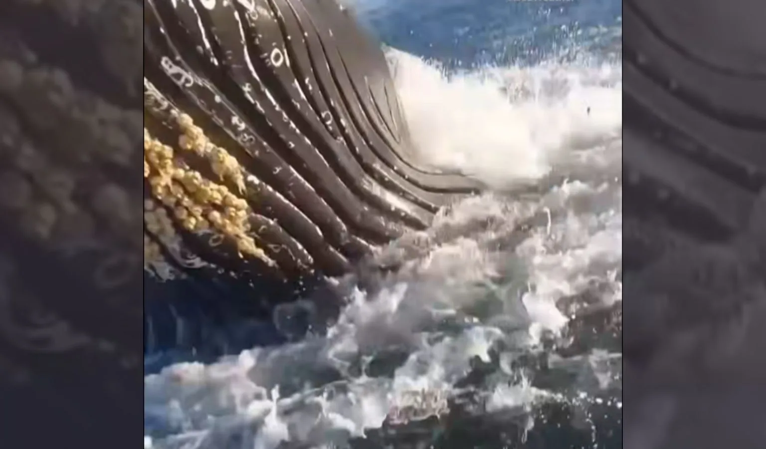 Unpredictable Ocean Fishing…Thrills and Risks