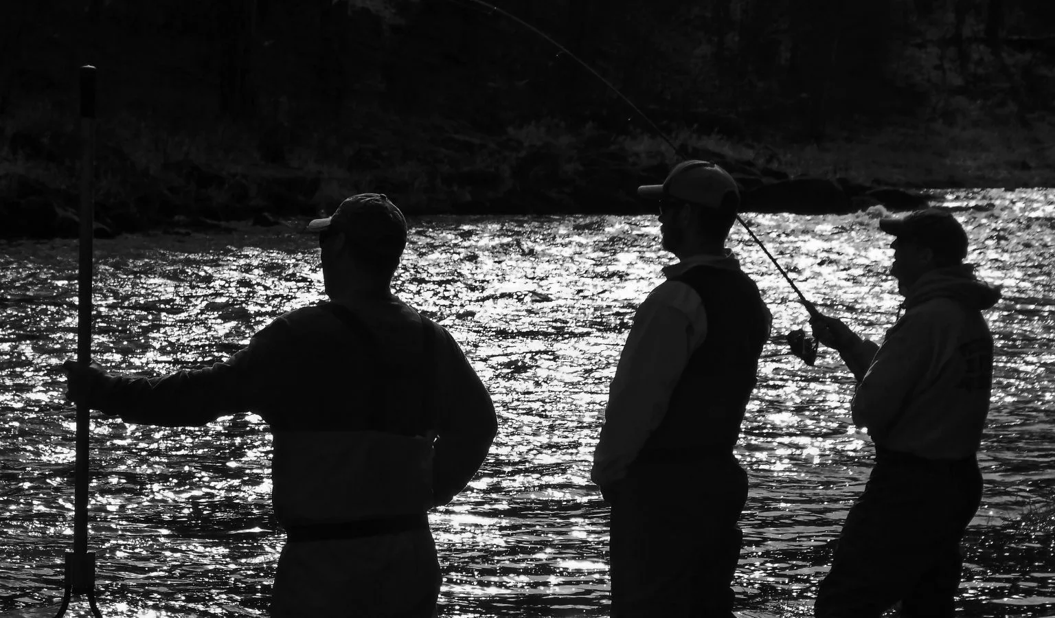 Do You Have Fish Opinions? It’s Time to Weigh In.