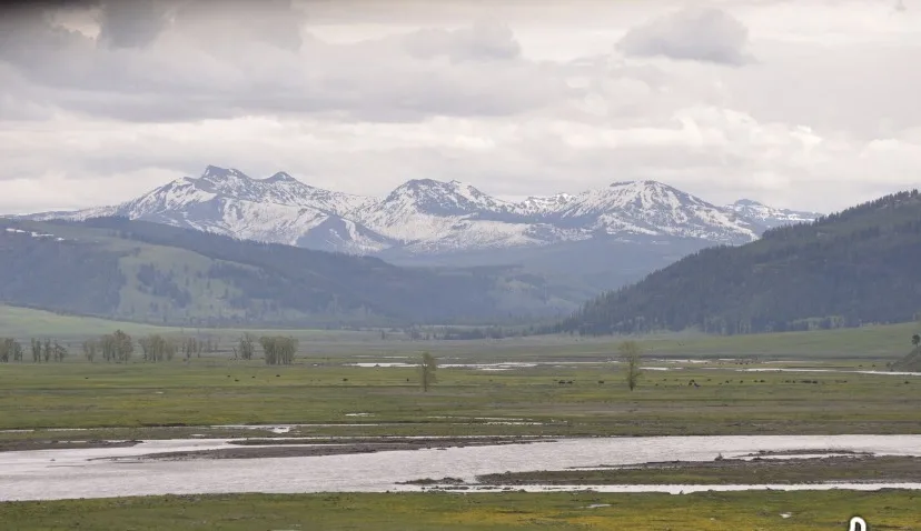 Yellowstone lifts fishing restrictions on most rivers and streams parkwide