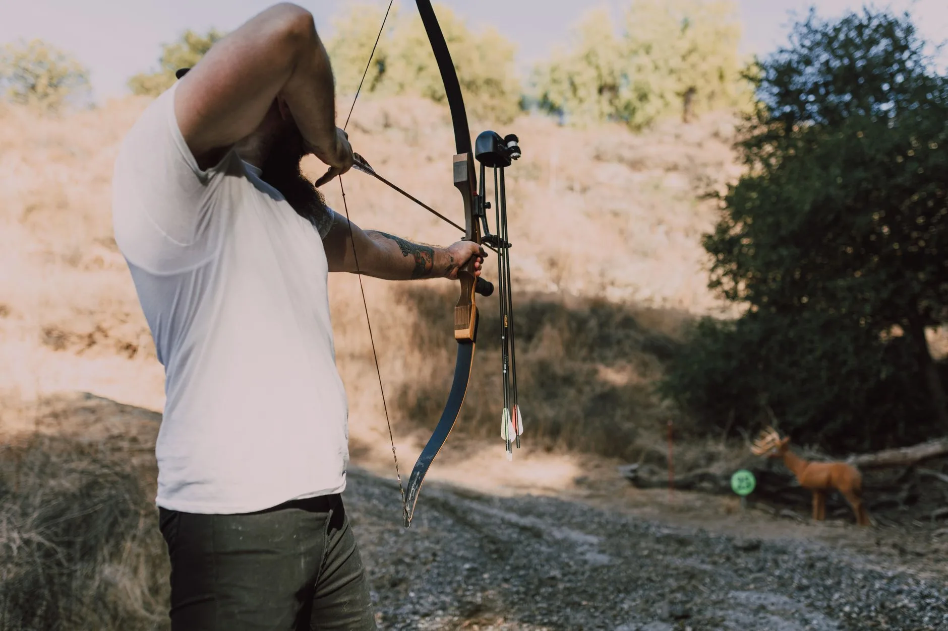 From Tag to Table: A Beginner’s Guide to Montana Archery Whitetail Hunting (2026)