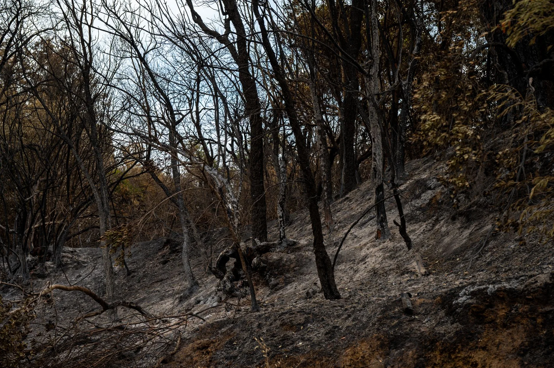 Madison County FWP lands now under Stage I fire restrictions