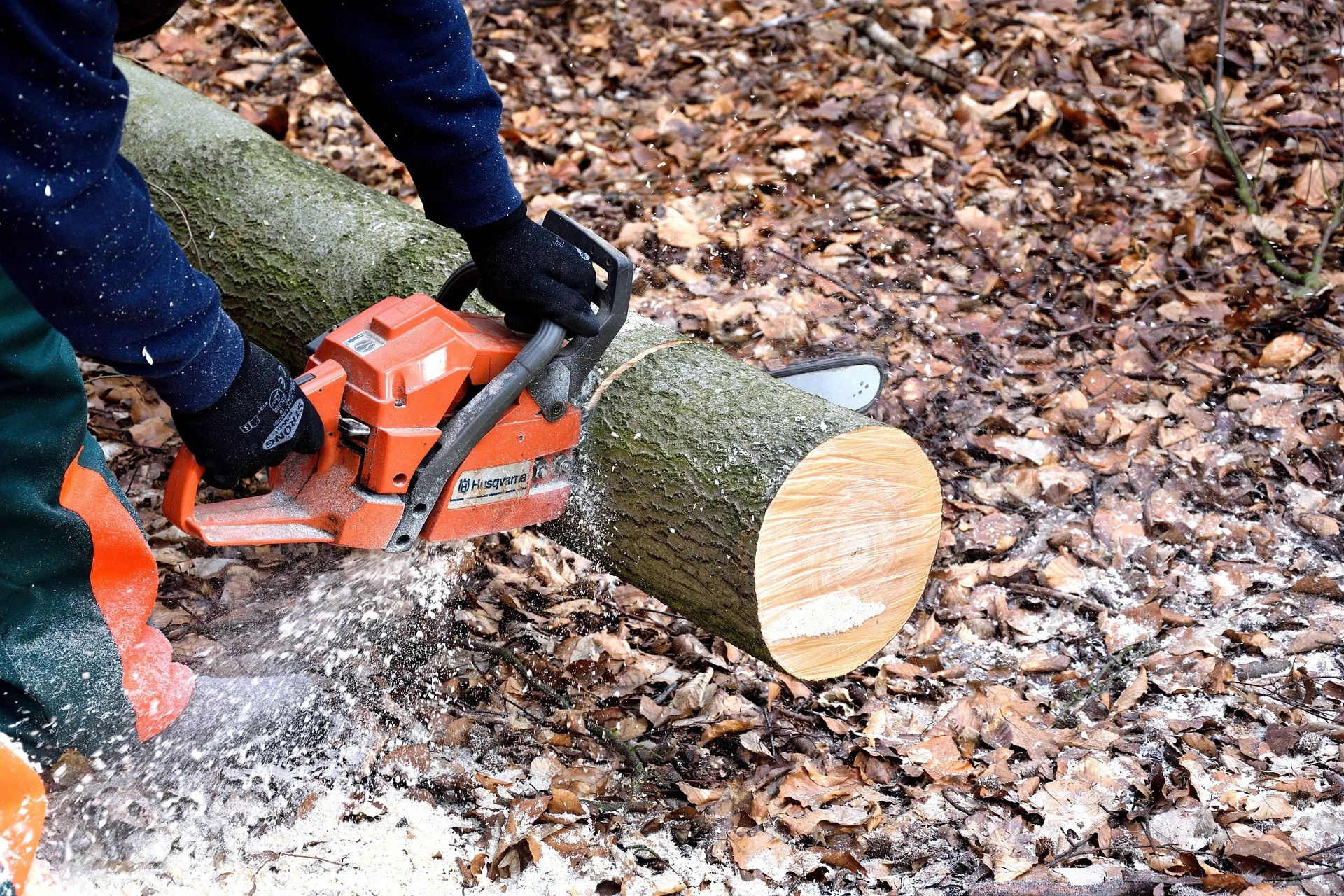 Tom Miner Campground Temporarily Closed Due to Hazard Tree Concerns