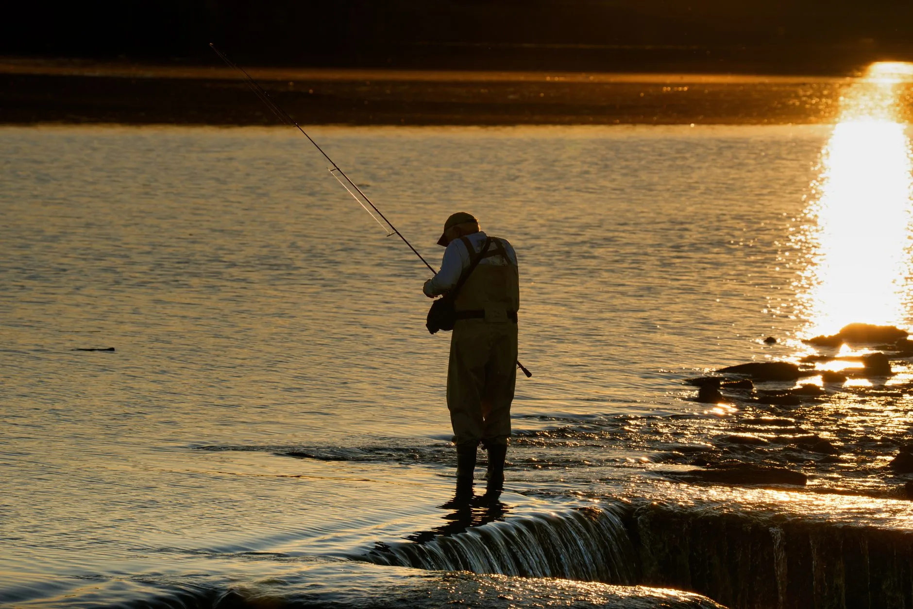 Kootenai River Fishing Report: Flows, Hatches, and What’s Biting Below Libby Dam Right Now