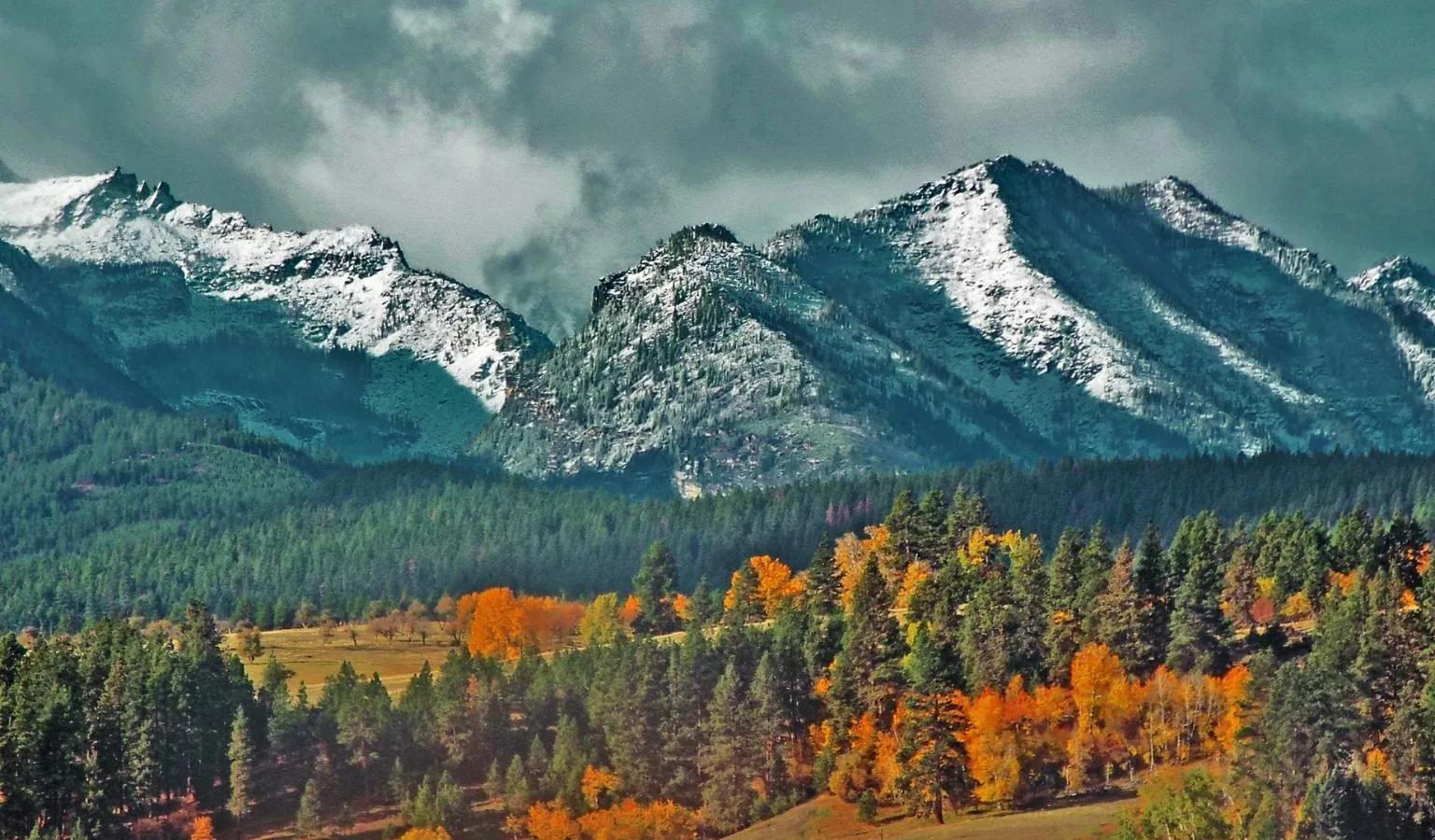 One in Four Montanans Says There’s Too Much Federal Land