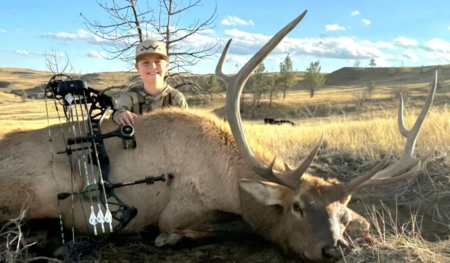12-Year-Old Tags First Archery Bull