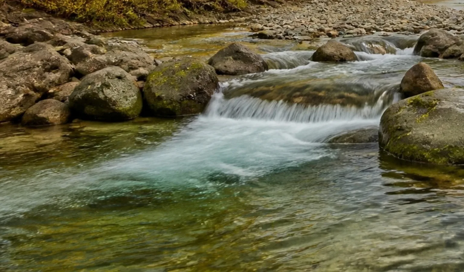 Stalk Like a Heron at Rock Creek, Fish Like You Mean It