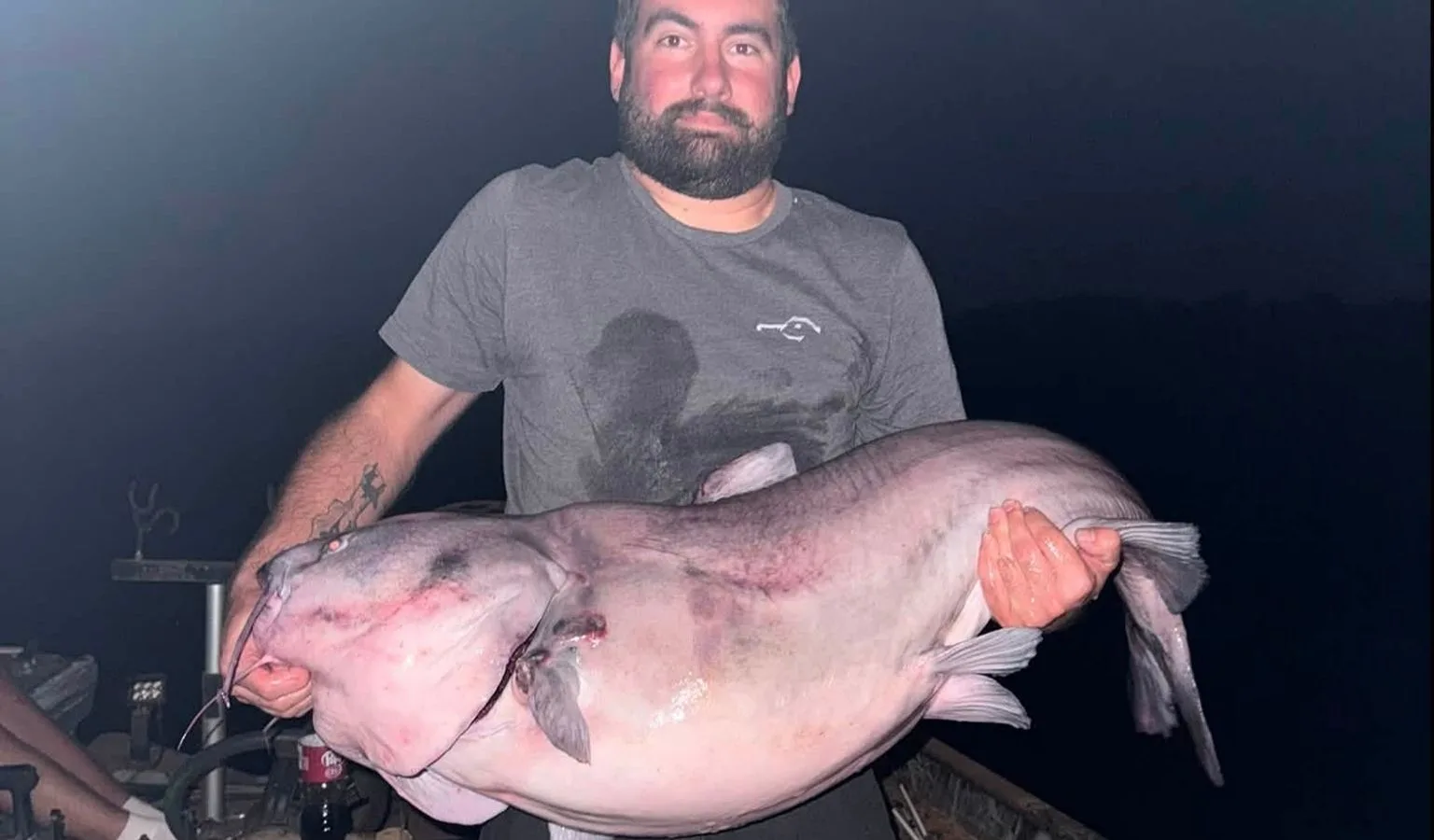 An angler’s Giant Catfish Might Earn Him $20,000