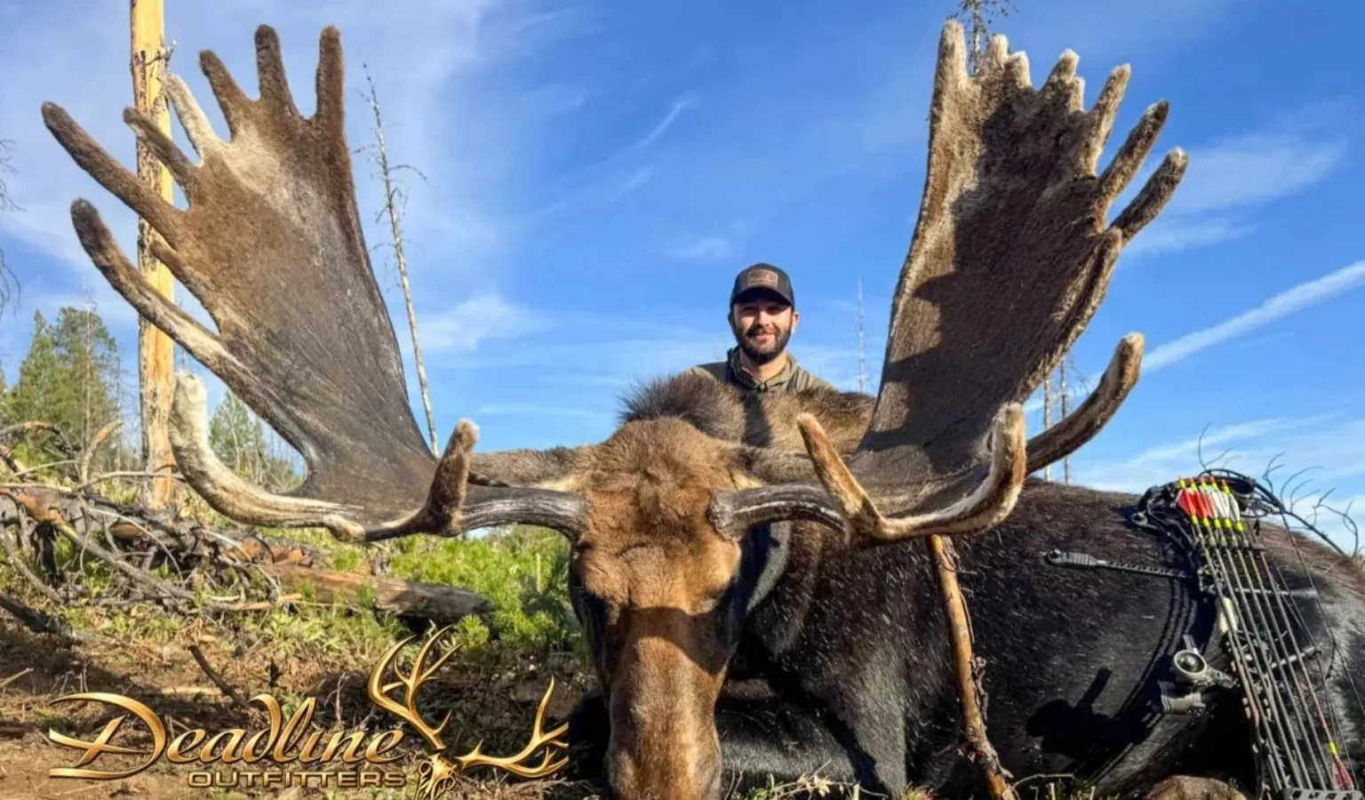 One Tag, One Giant Bull, One Possible World Record