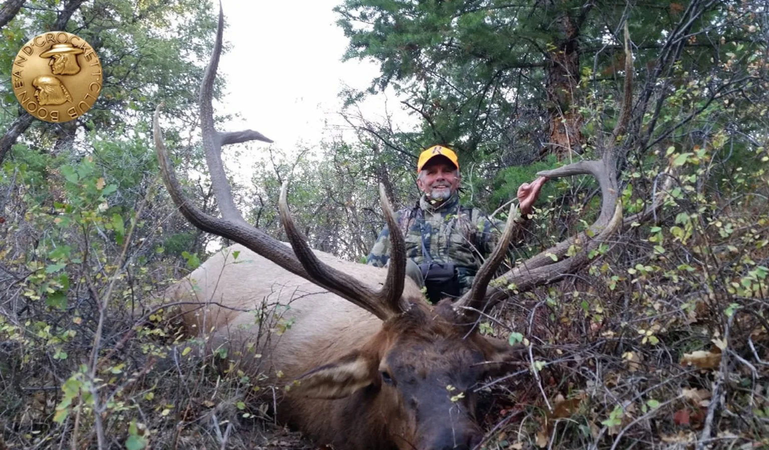 A Giant Bull and an Even Bigger Dose of Perspective